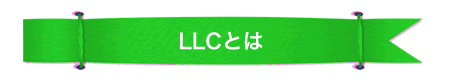 LLC�Ƃ�